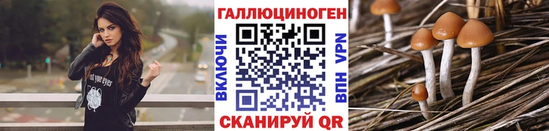 Галлюциногенные грибы прущие грибы  купить наркотики сайты  Мглин 